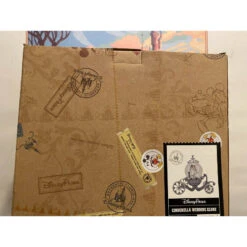 Boule à Neige Mariage De Cendrillon Carrosse Disneyland Paris