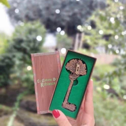 Clé Collector La Cabane Des Robinsons 1992 Ex